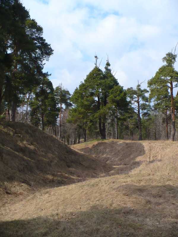 P1170415.JPG