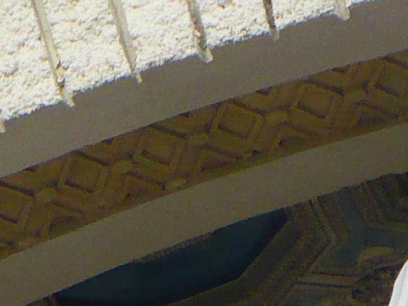 P1170590.JPG