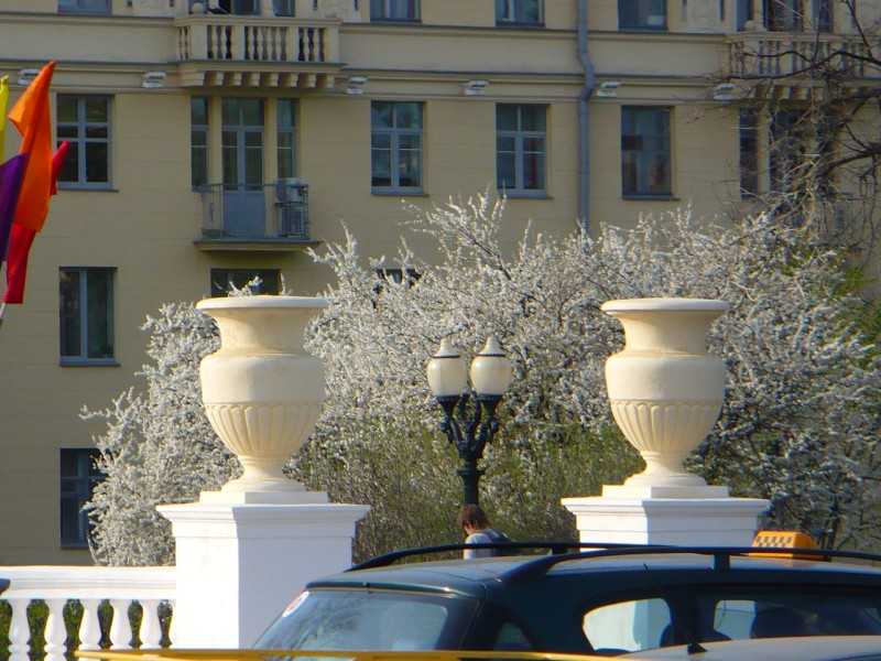 P1170655.JPG