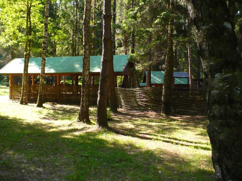 P1180155.JPG