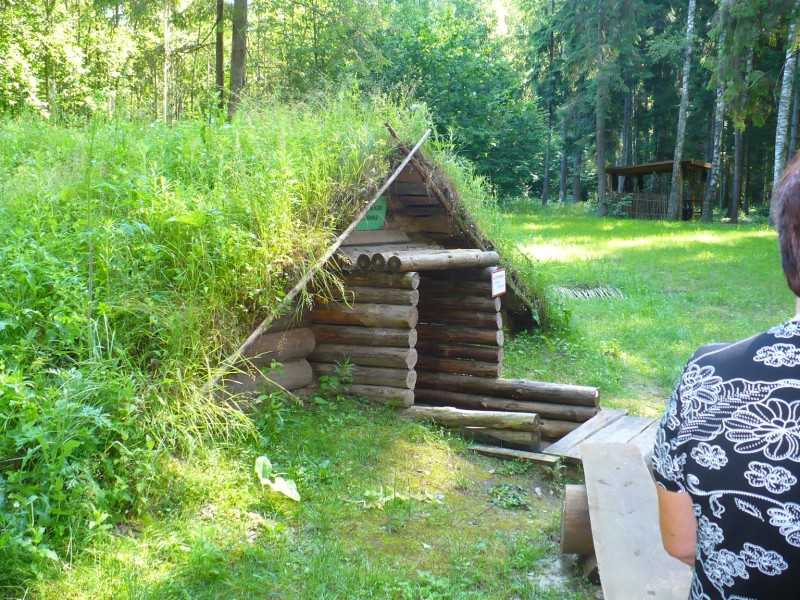 P1180160.JPG