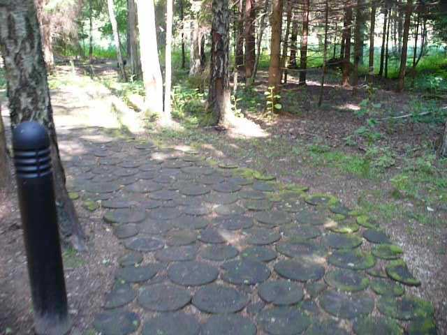 P1180169.JPG