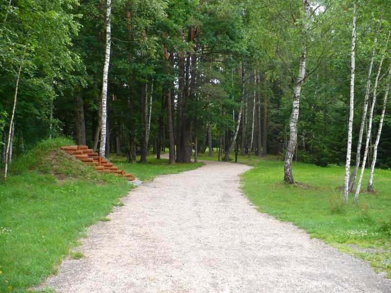 P1180331.JPG