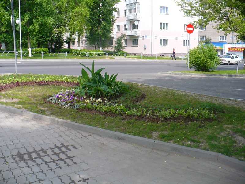 P1200393.JPG