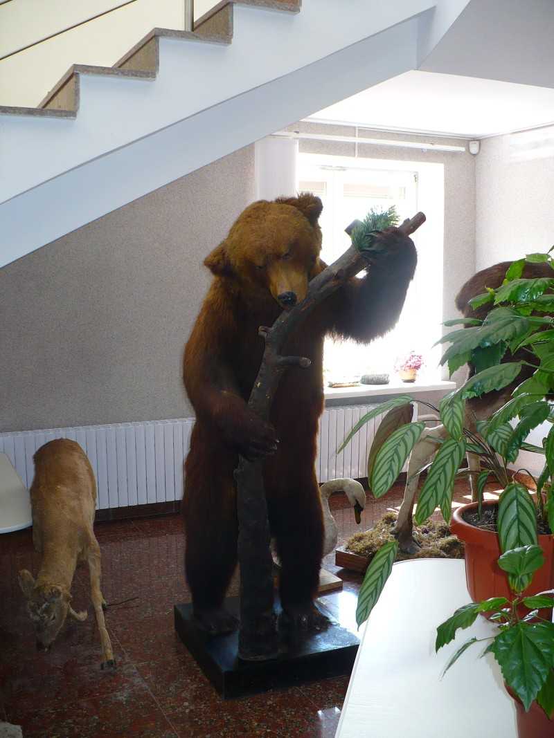 P1200413.JPG