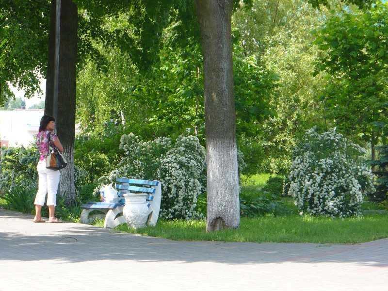 P1200419.JPG