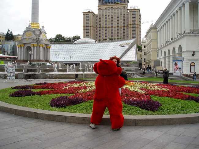 P2240284.jpg