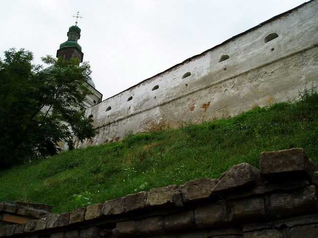 P2240384.jpg