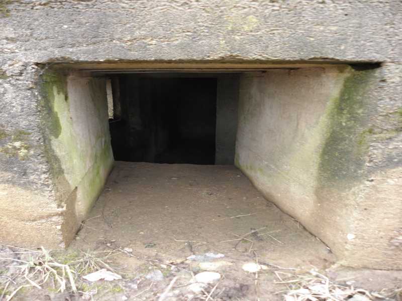 P3280079_resize.JPG