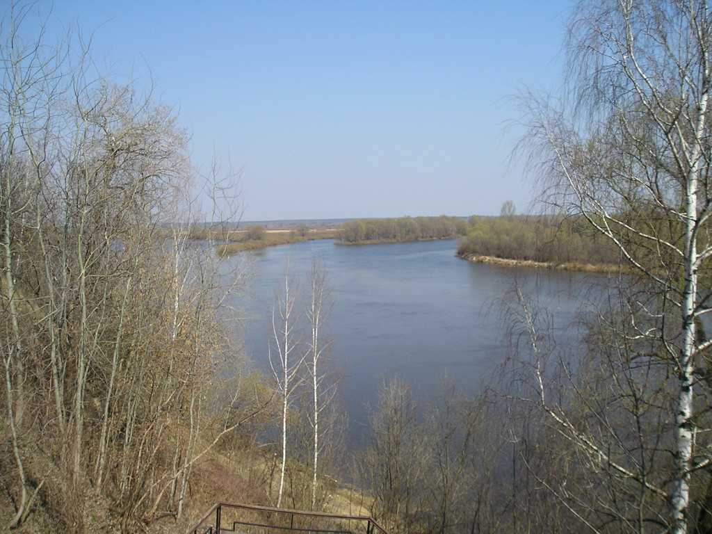 P4120034.JPG