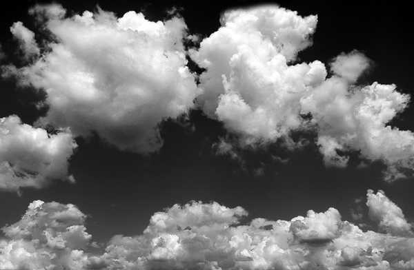 P7107175(4).jpg