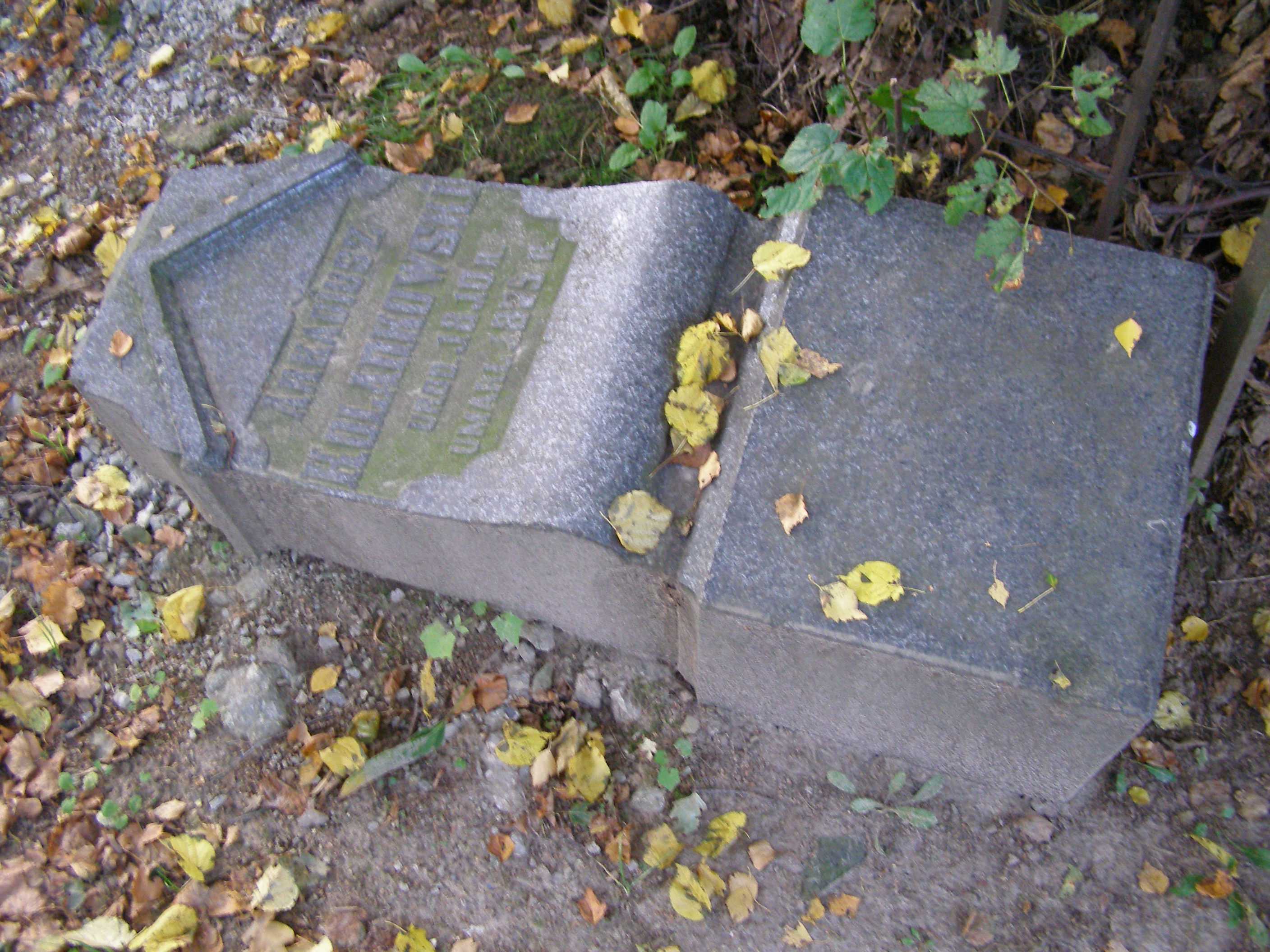 P9193308.JPG