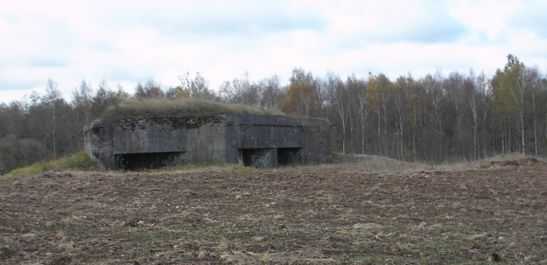 PA200026.jpg