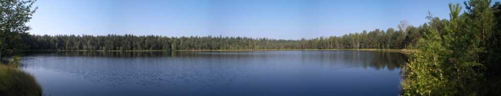 panorama.jpg