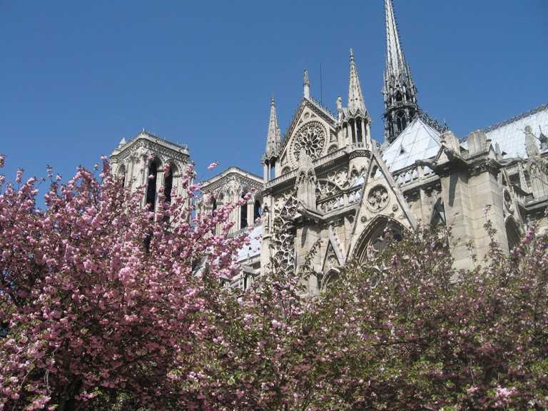 paris 521.jpg