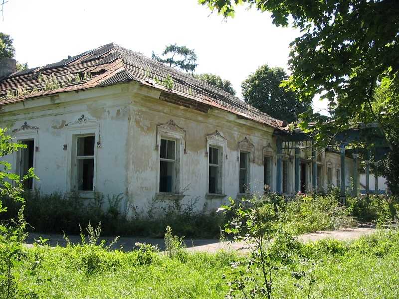 penuga-088.jpg
