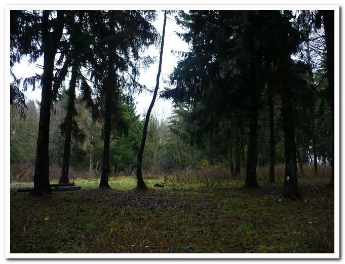 PL00012.jpg