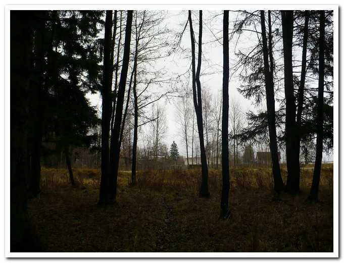 PL00014.jpg