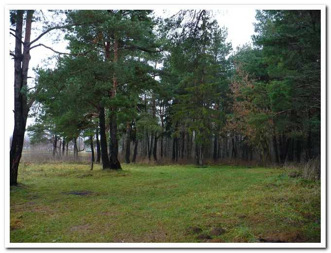 PL00018.jpg