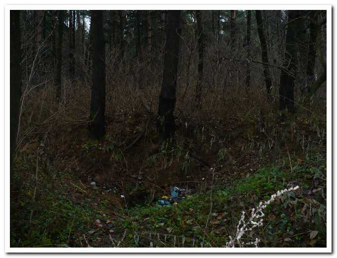 PL00024.jpg
