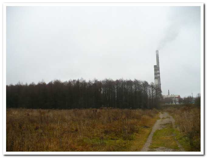 PL00026.jpg