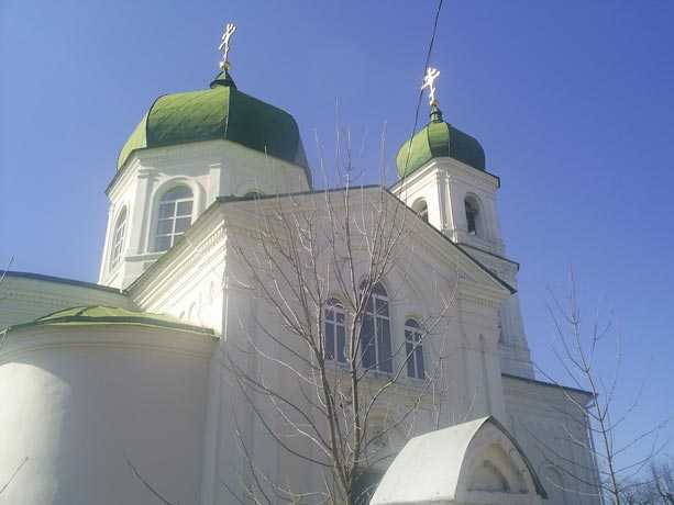 S4020783.jpg