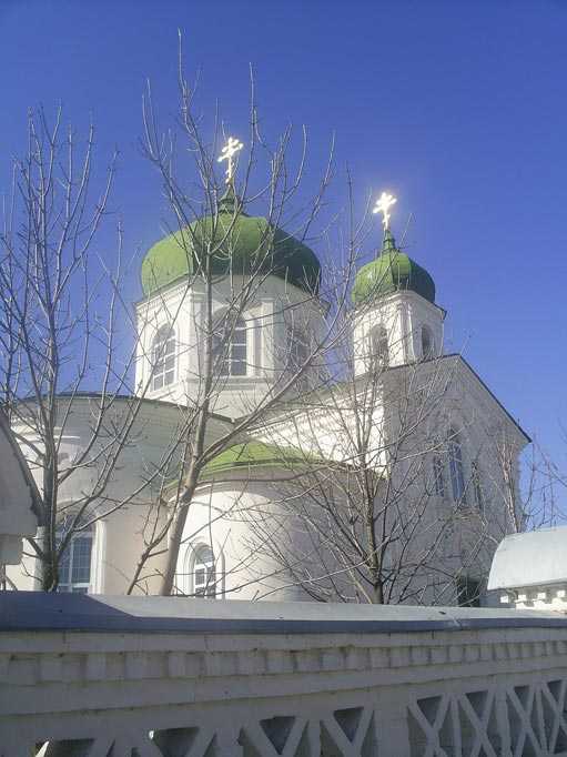 S4020785.jpg