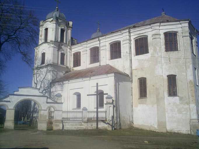 S4020791.jpg