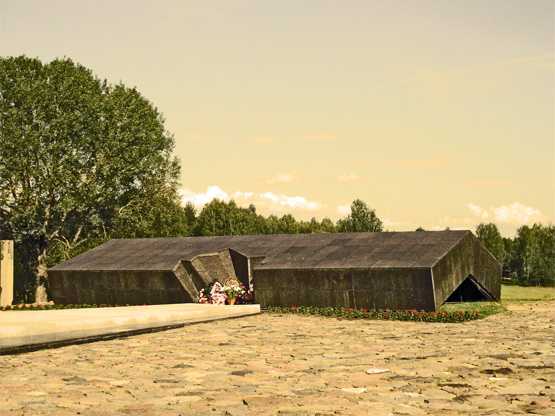 S5001155.jpg