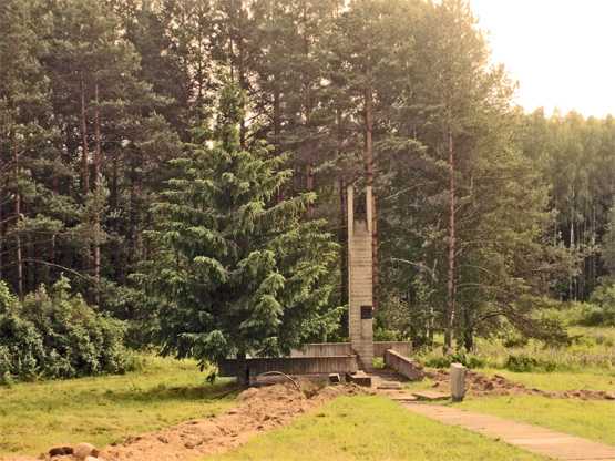 S5001176.jpg
