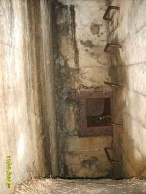 S5003655_.jpg