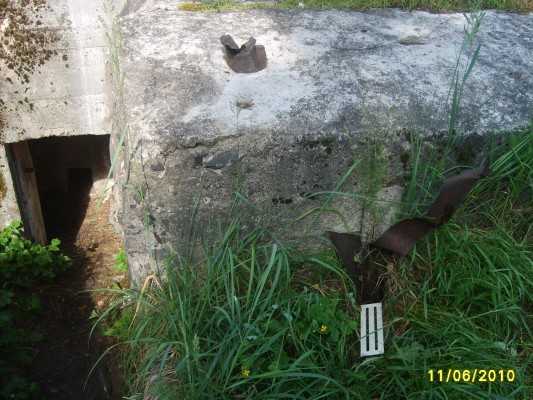 S5003677_.jpg