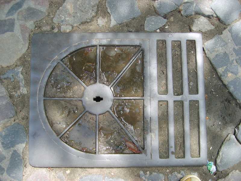 S6005428_resize.JPG