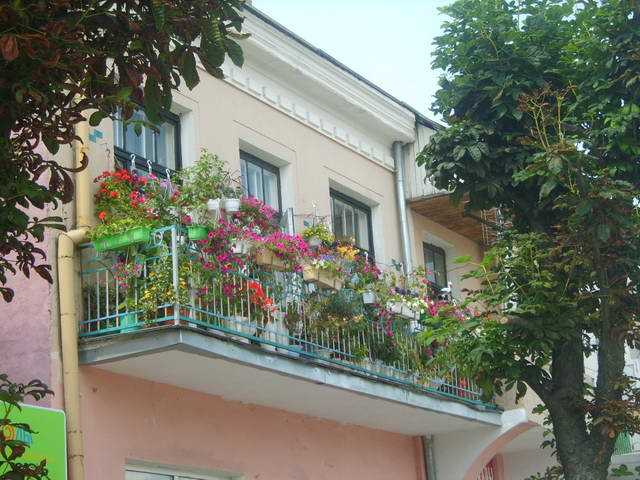 S8303421.jpg