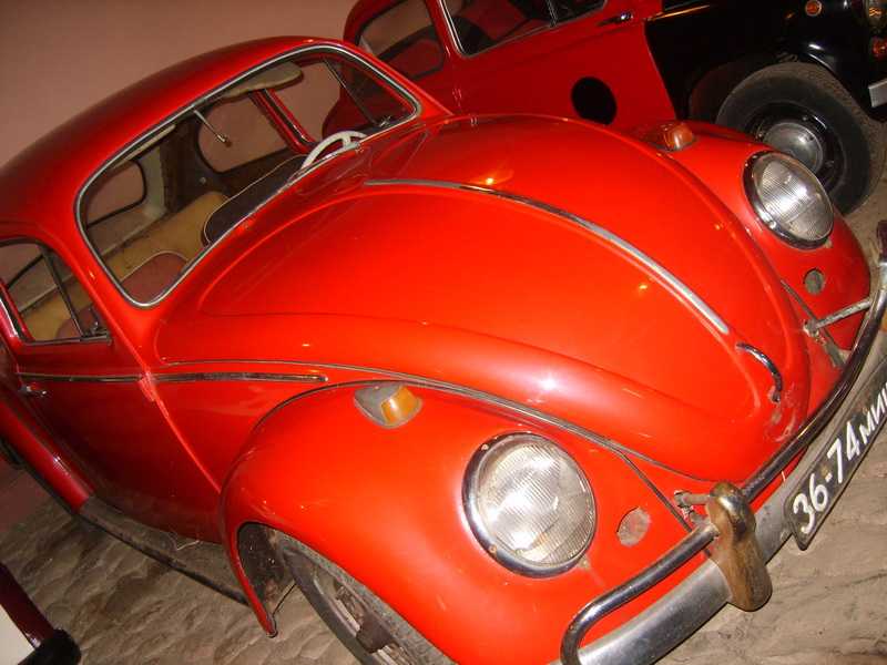 S8309168.jpg
