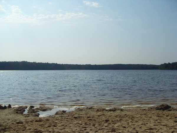 SDC13886.JPG