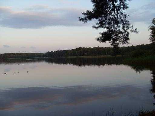 SDC13932.JPG