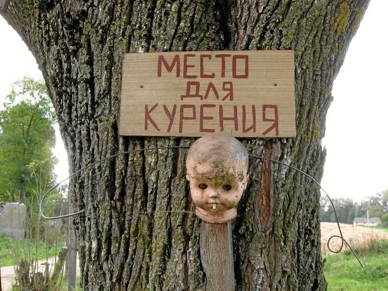shovki-0829.jpg