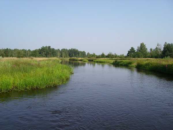 SL707430-1.jpg