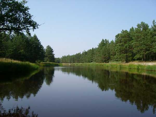 SL707486-1.jpg
