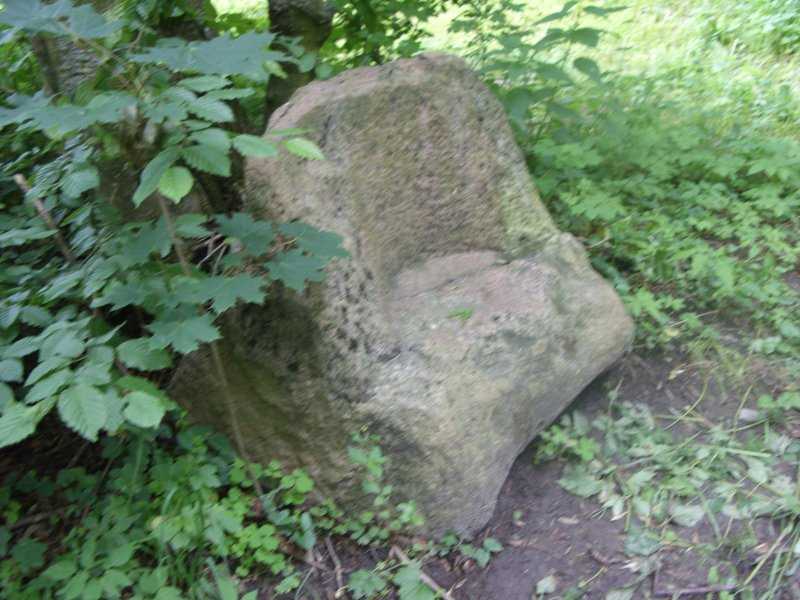 SN851432.JPG