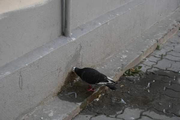 test2.jpg