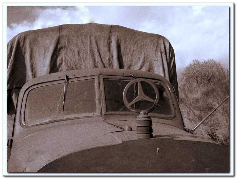 tr00038.jpg