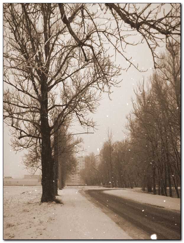 tr00043.jpg