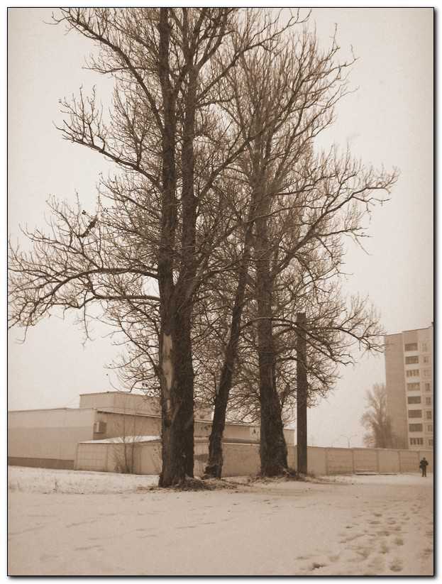 tr00048.jpg