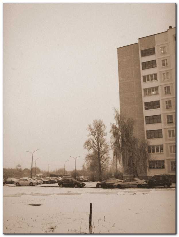 tr00049.jpg