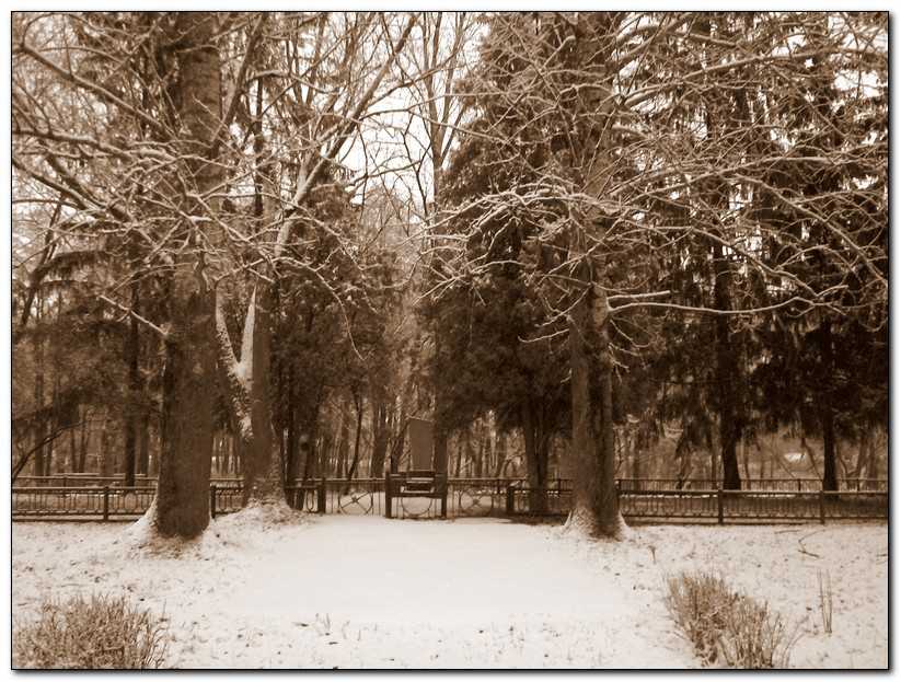 tr00065.jpg