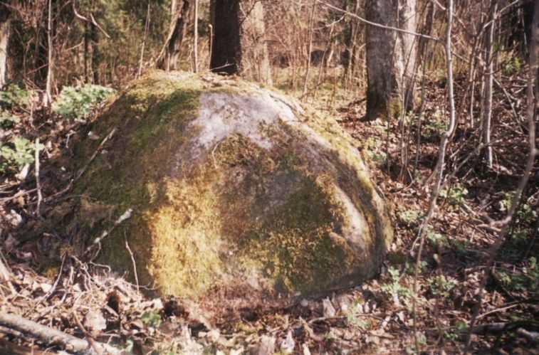 Камень.jpg