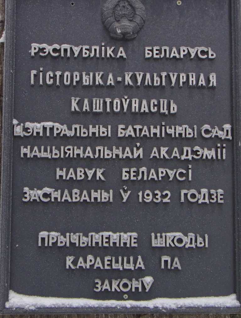 шильба.JPG