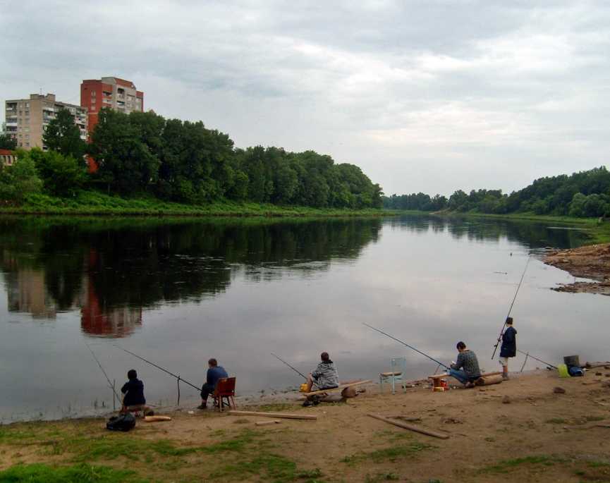 Ловись рыбка.jpg